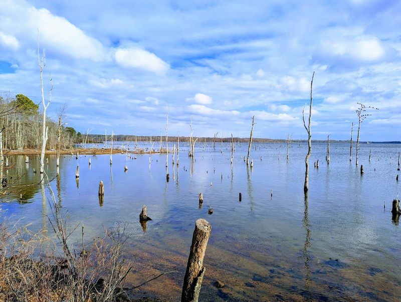 Manasquan Reservoir Cove Trail, New Jersey
