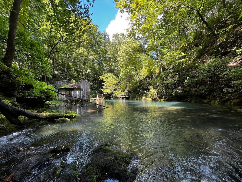 Trail 4 (Spring Mill State Park)