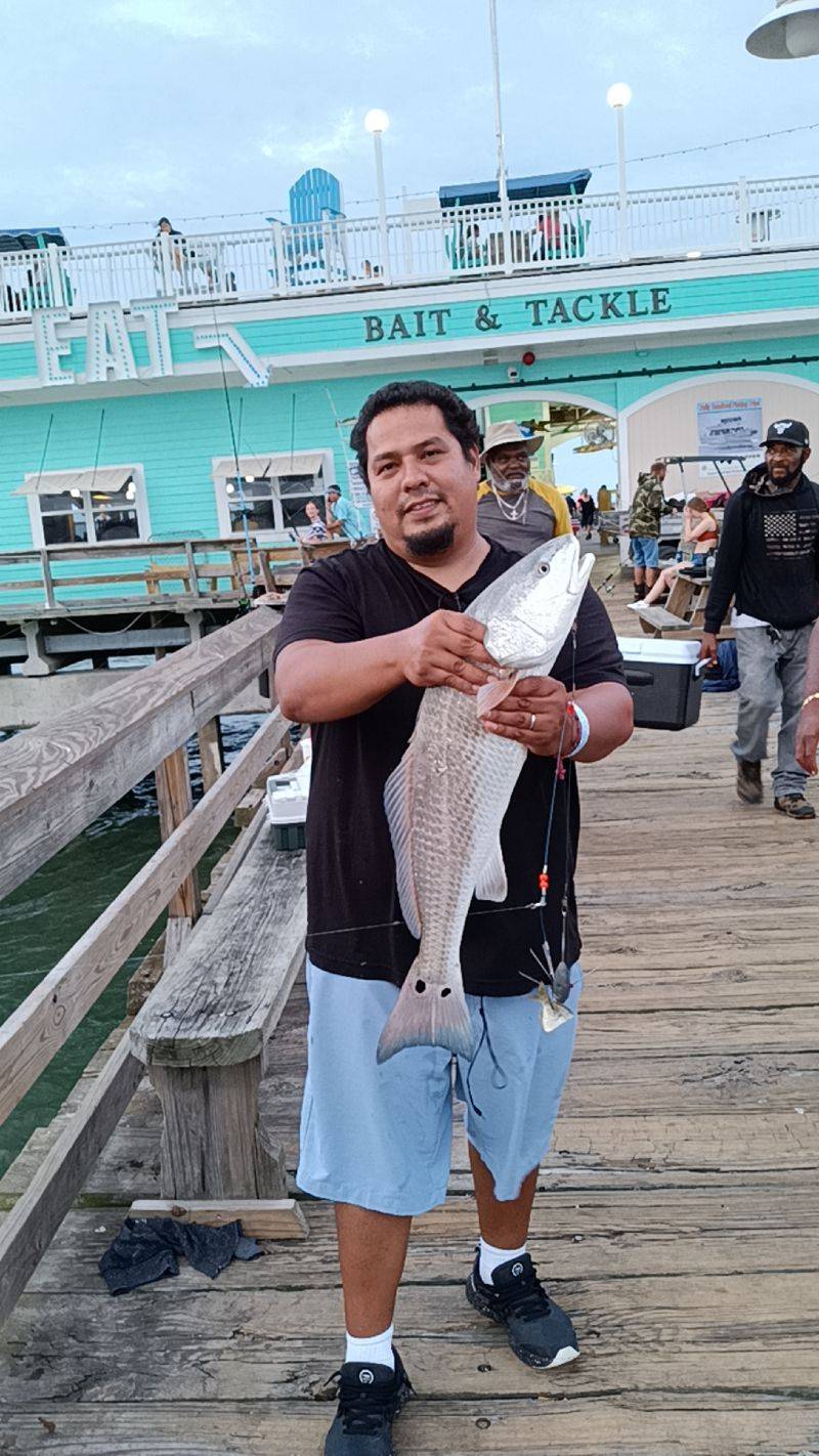 Diverse Species Keep Things Exciting