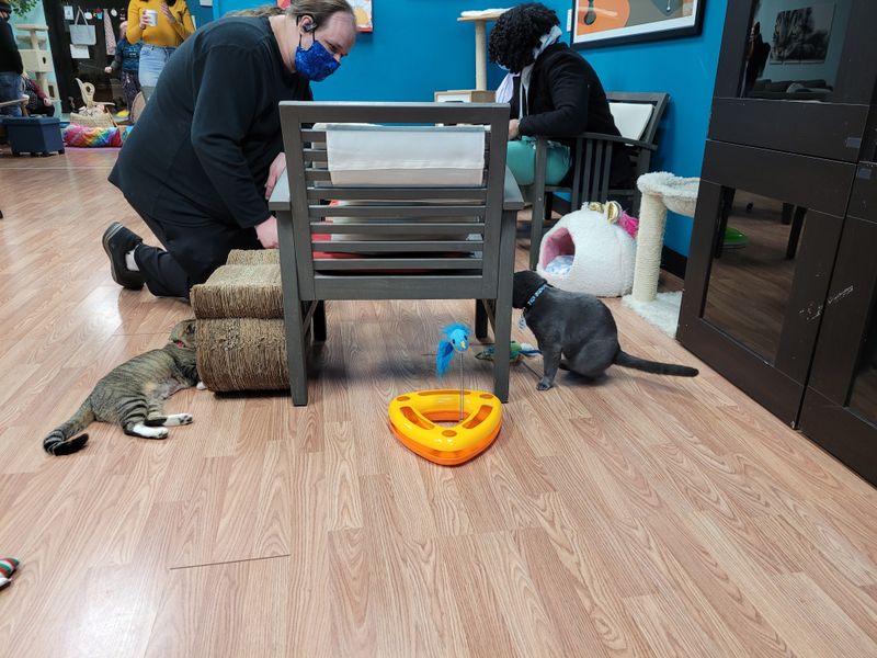 Adoption Success Stories Happen Daily