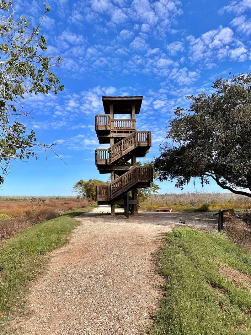 Observation Tower Views Over the Wetlands
