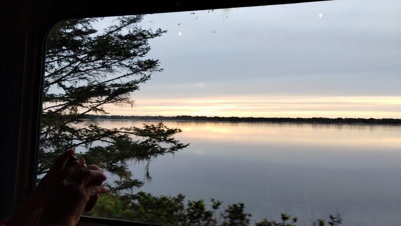 Pet-Friendly Policies Welcome Four-Legged Passengers