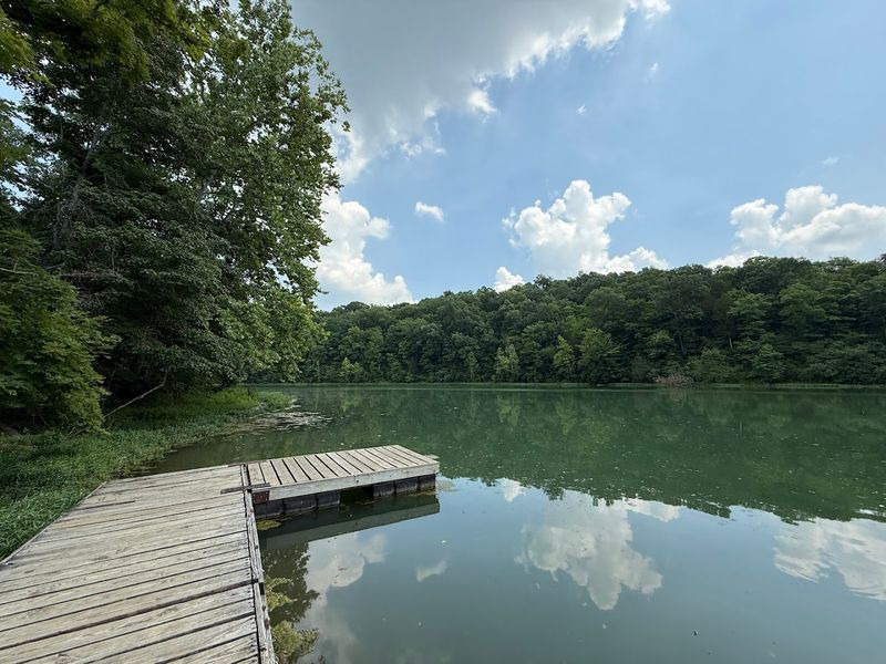 The Pool, the Lake, and Every Reason to Splash Around