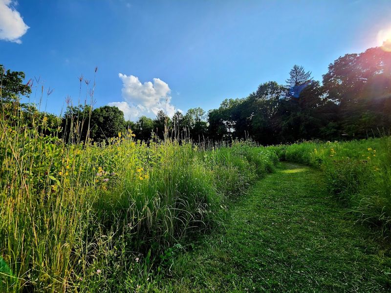 Small Detours Nearby That Make The Daytrip Feel Complete