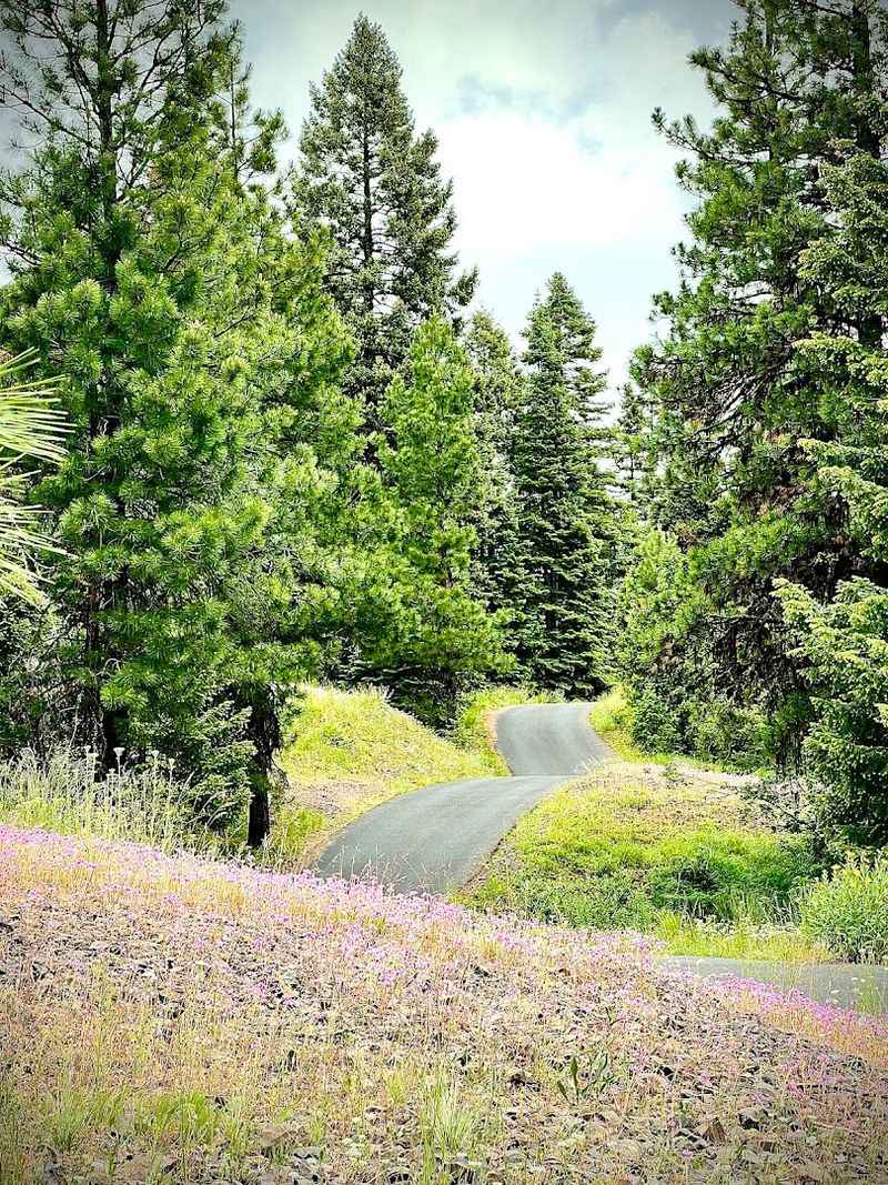 Easy Scenic Drives Around The Valley That Stay Low Stress