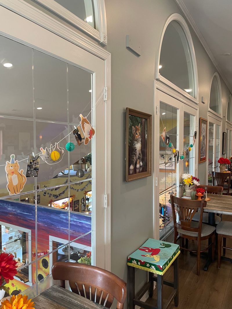 An Upstairs Lounge That Overlooks The Entire Cat Room