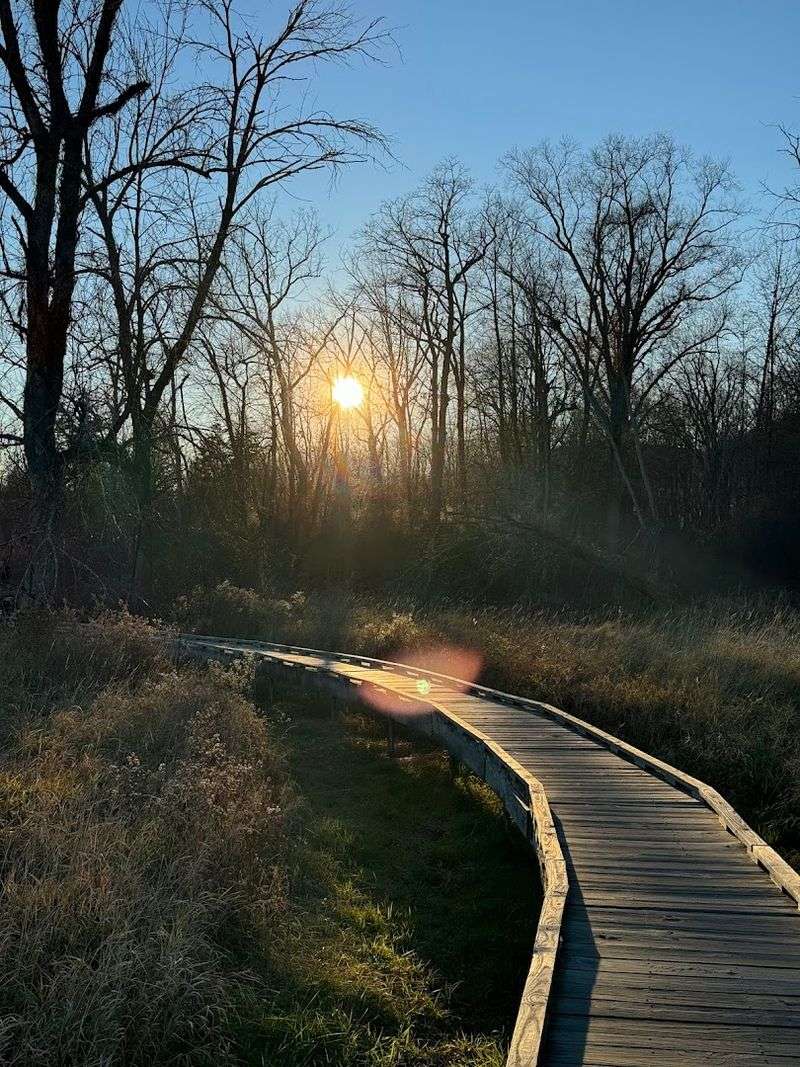 Best Times to Visit the Pochuck Boardwalk Suspension Bridge