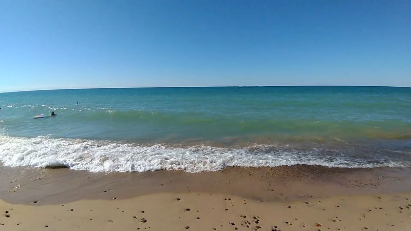 Rock Hounding and Fossil Hunting Give Beachcombers a Real Thrill