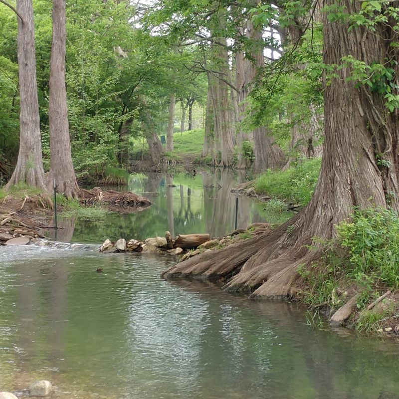 Guadalupe River Calm Just Beyond Downtown