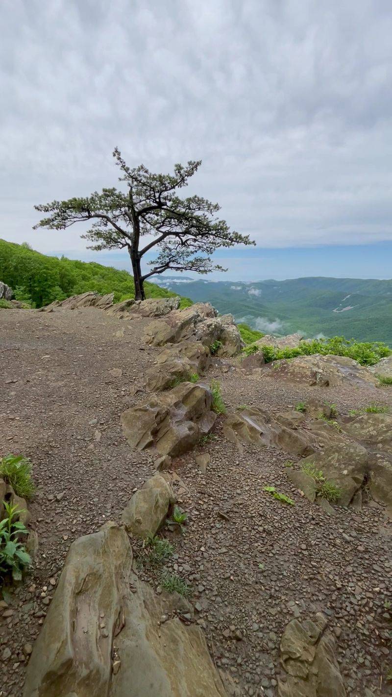 Side Trails to Secret Vantage Points