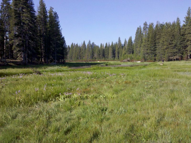 Big Meadows Overlook