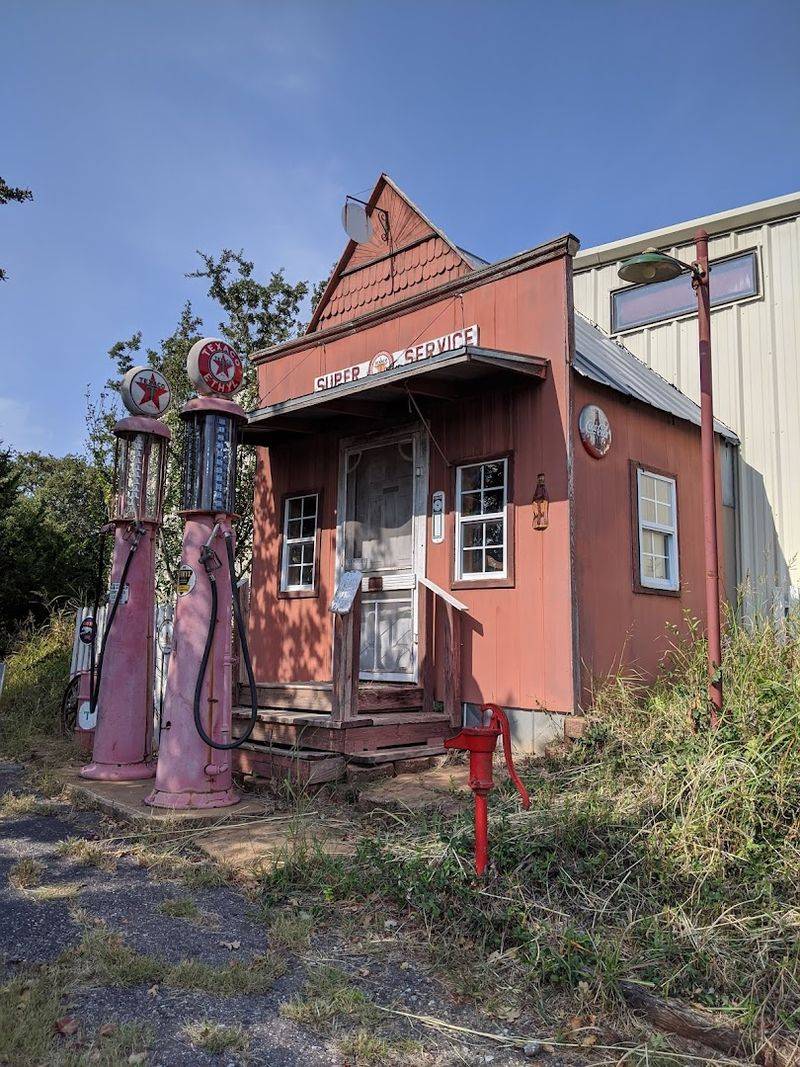 The Four-Legged Tour Guide