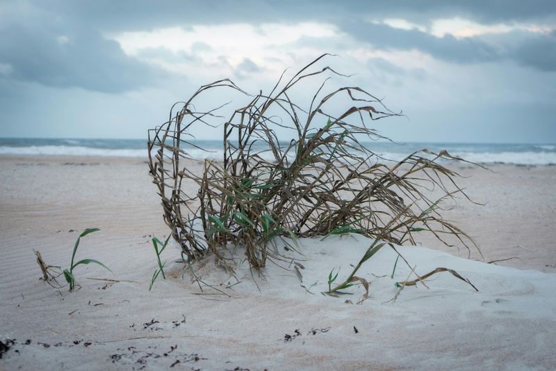 Erosion And Unstable Dunes