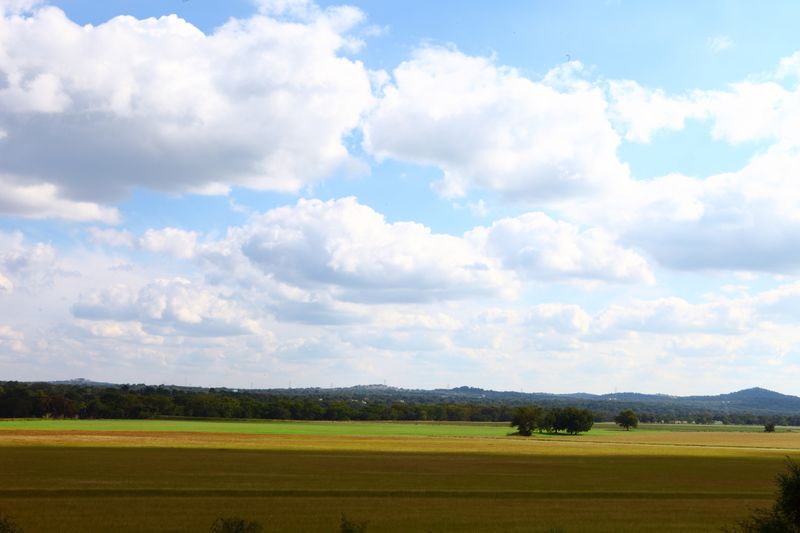 Beauty Rooted In Quiet And Familiarity