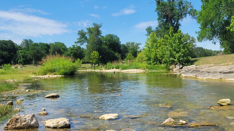 Exploring Salado Creek and Its Natural Springs