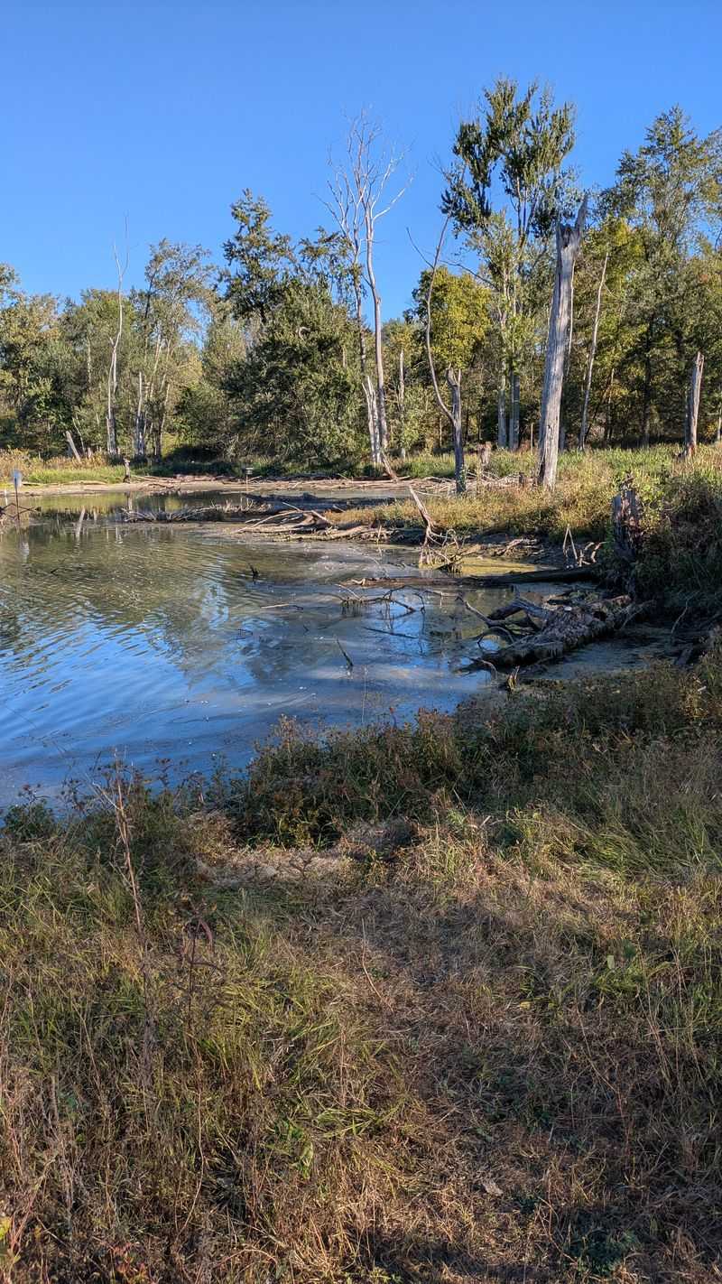 Free Access Makes Nature Available to Everyone