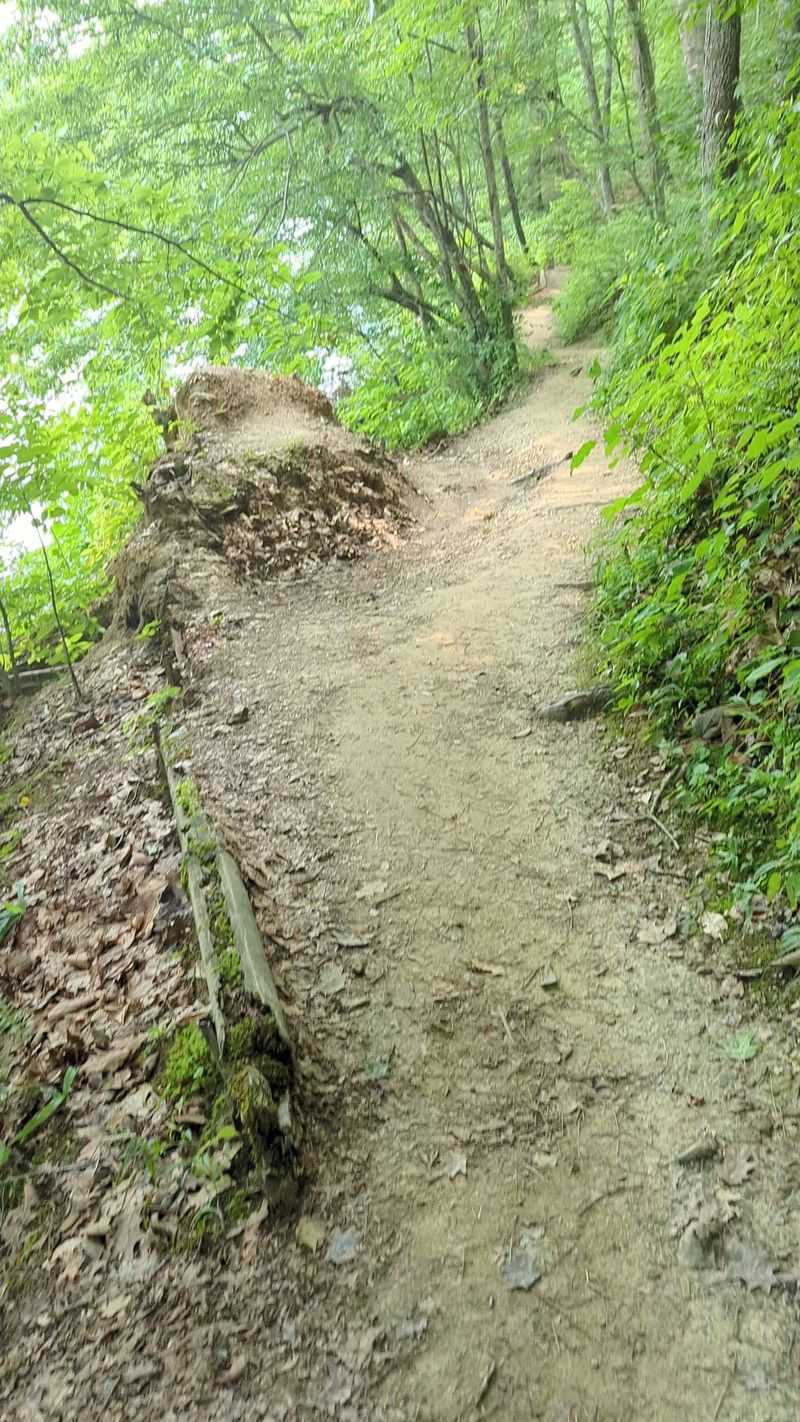 Charming Bridges and Staircases Add Adventure