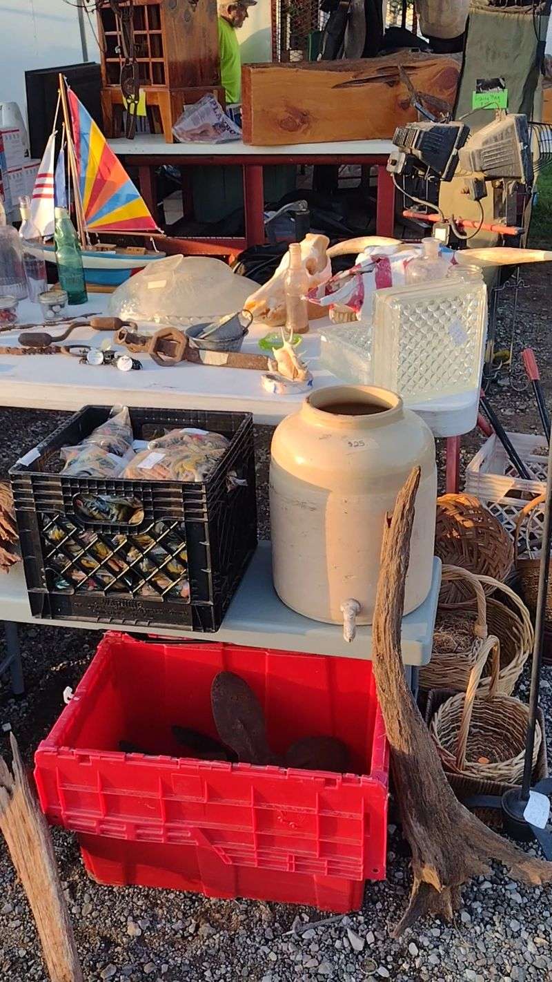 The Unexpected Finds That Make Your Day