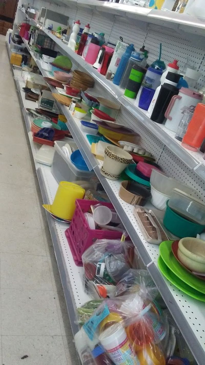 The Housewares Section Is a Whole Other Adventure