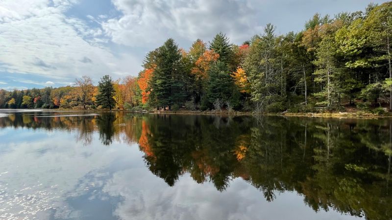 Stony Lake's Family-Friendly Recreation