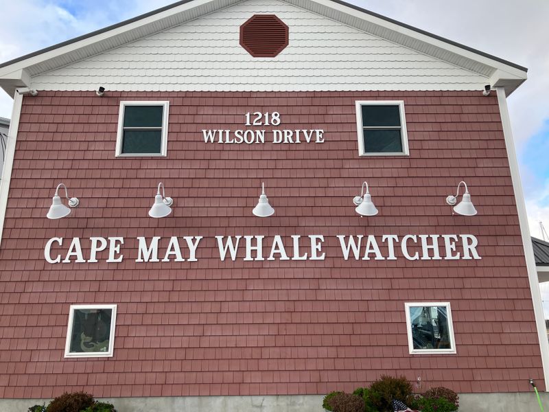 Pet-Friendly Adventures for the Whole Family