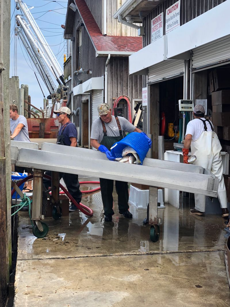 Seasonal Craft Shows Featuring Talented Local Artisans