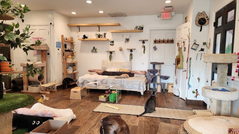 Booking Smart For The Best Experience