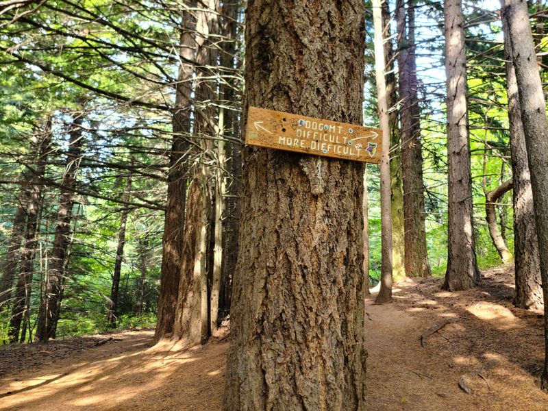 Steep, Difficult and More Difficult Paths