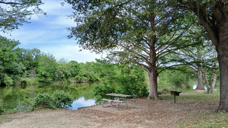 Camping Under Towering Shade Trees