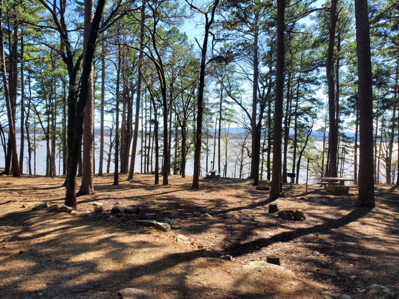 RV Camping With Modern Hookups and Clean Facilities