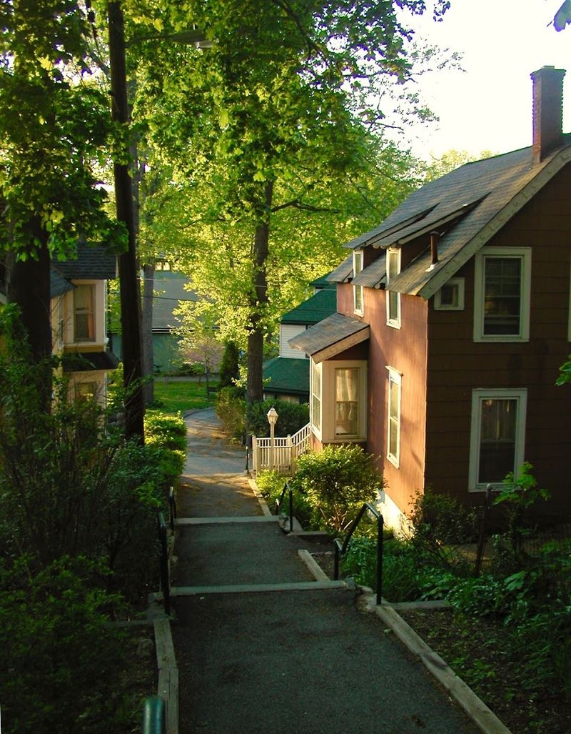 Tree-Canopied Streets That Invite Wandering