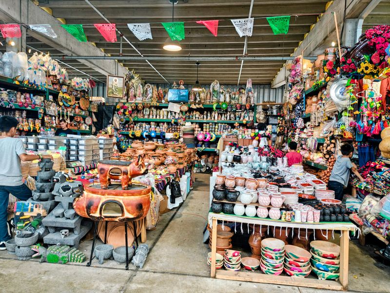 Plants That Bring Life Home