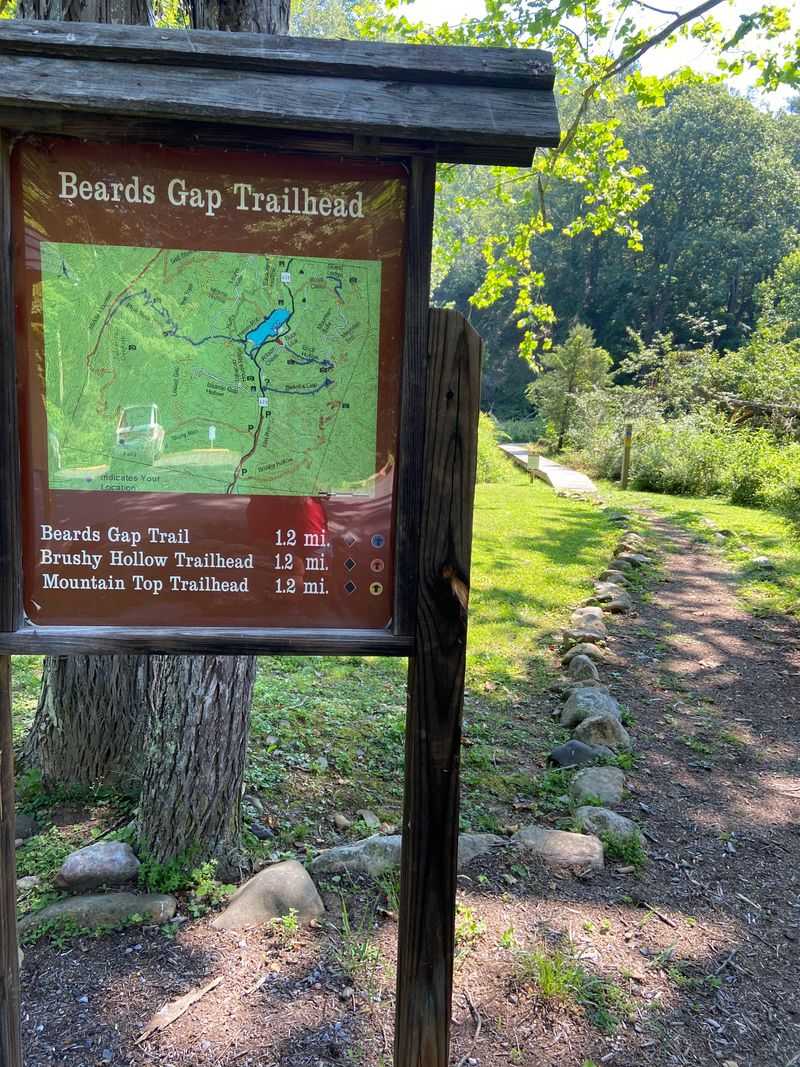 Trail Networks That'll Make Your Hiking Boots Happy