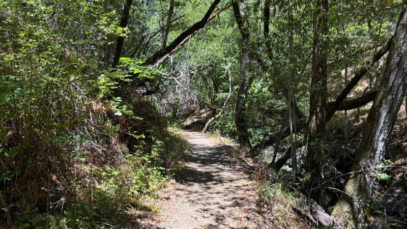 Well-Maintained Trails Make Navigation Foolproof
