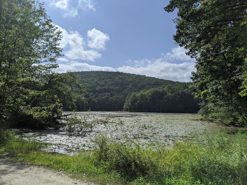 The Notorious Route: Shades of Death Road