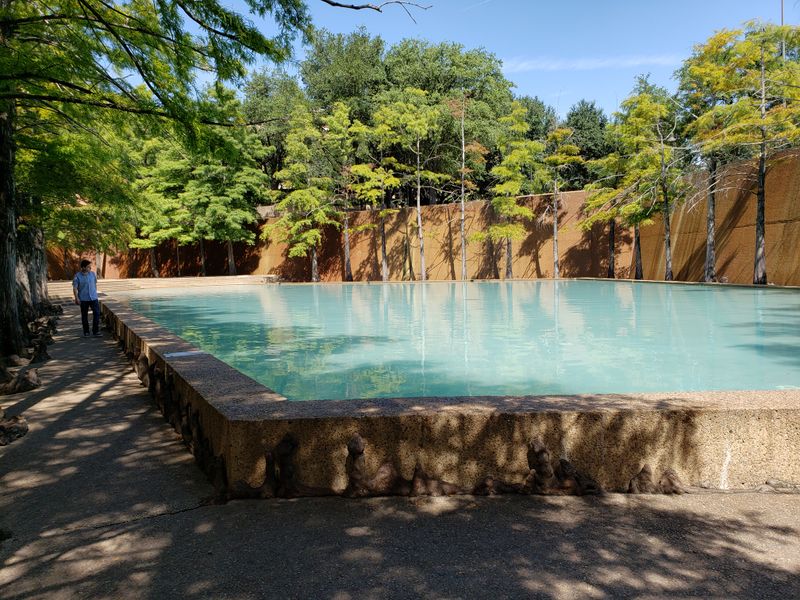 The Quiet Pool and the Art of Stillness