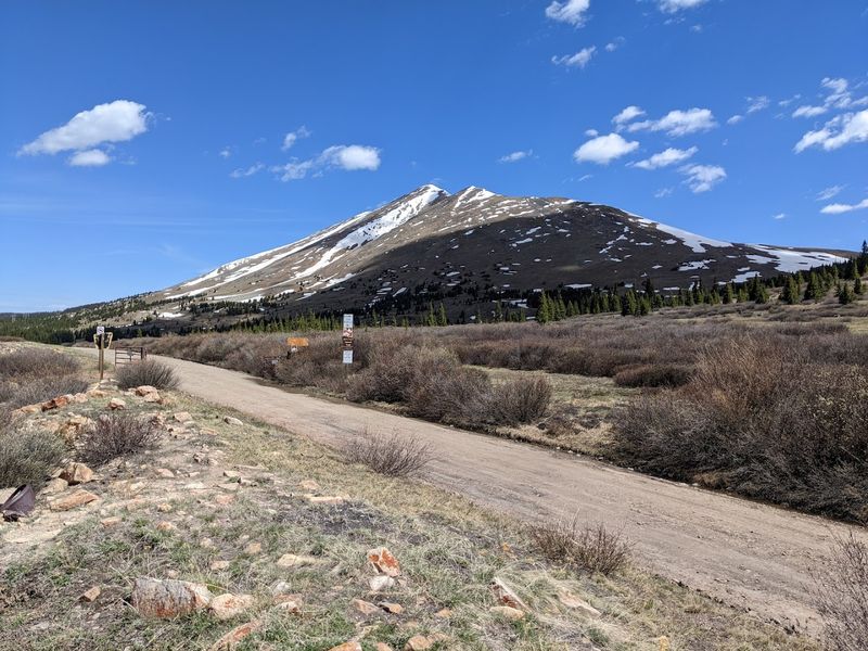 Trail Braiding: How Side Paths Multiply Fast