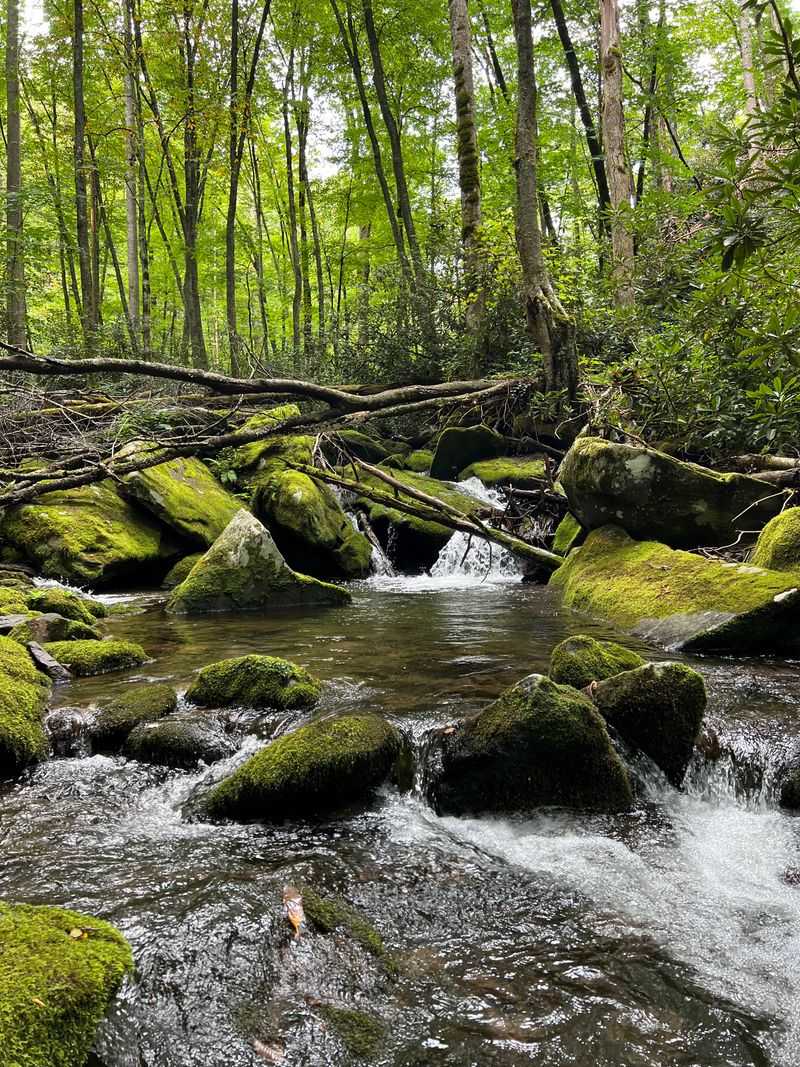 The Walk-In Feels Like A Retreat