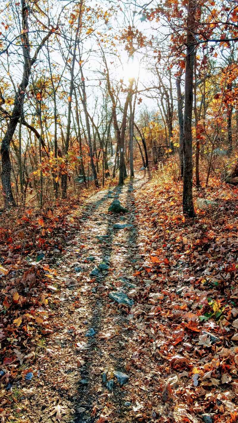 The Fall Foliage Show That Rivals New England