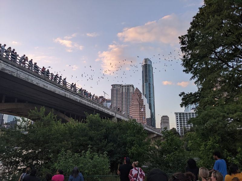 Seasonal Patterns and When Bats Are Present