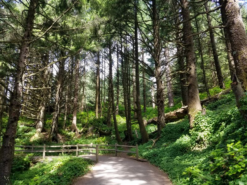 The Infant's Grave Discovered on the Property