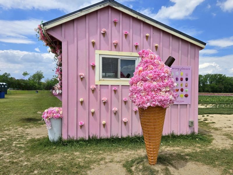 Food Trucks And Dining Options Scattered Throughout