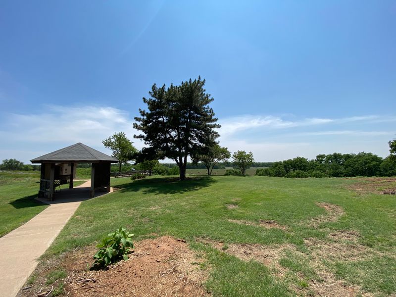 Parking Areas Overflow During Peak Times