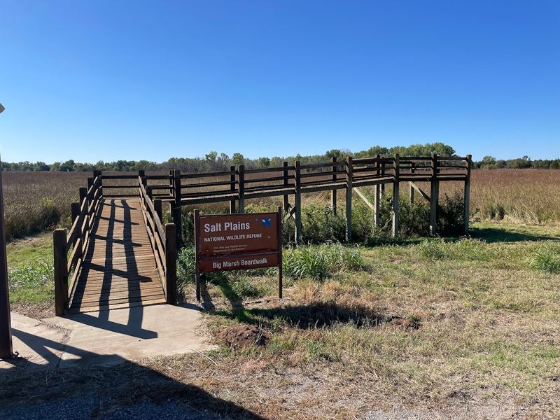 The Boardwalk Trails Are Packed with Families and Photographers