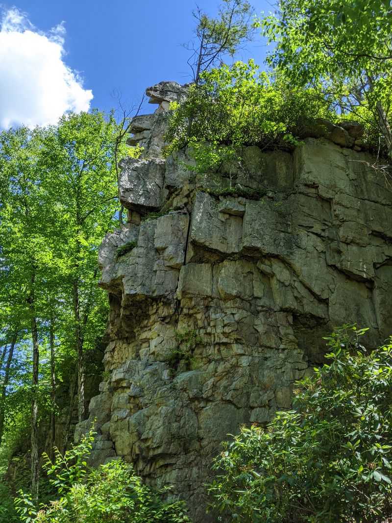 Parking Lot Politics and Getting There