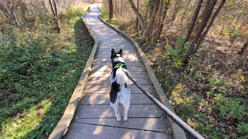 Getting There: Parking, Trailhead, and First Steps