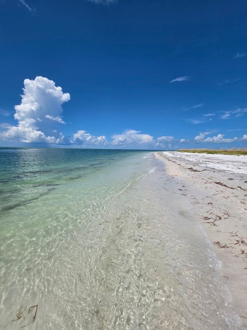 No Roads, No Buildings, Just Pure Florida Quiet