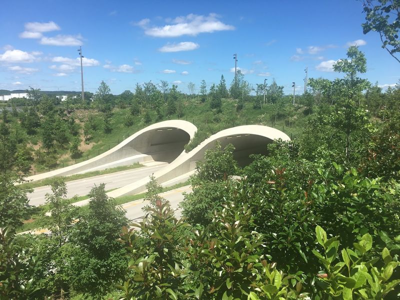 Skate Park and Sports Courts That Welcome Everyone