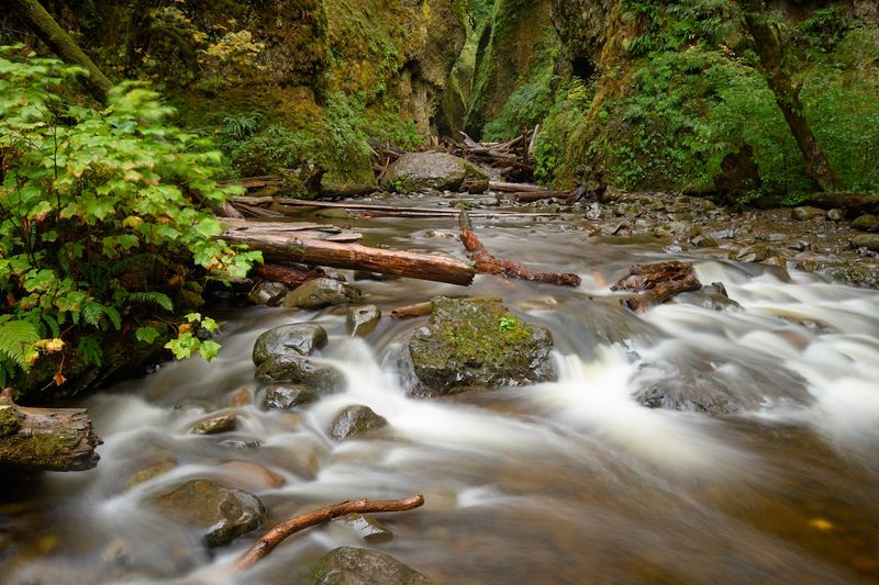 Wading Through Cold Water: The Real Trail Experience