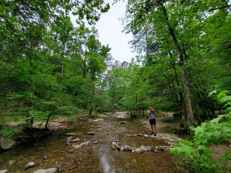 How Social Media Fueled the Fire